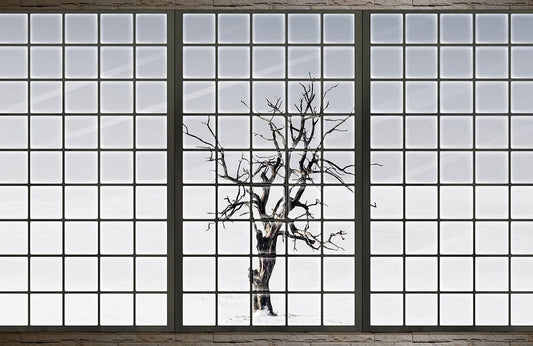 Winter Snow Wall Murals