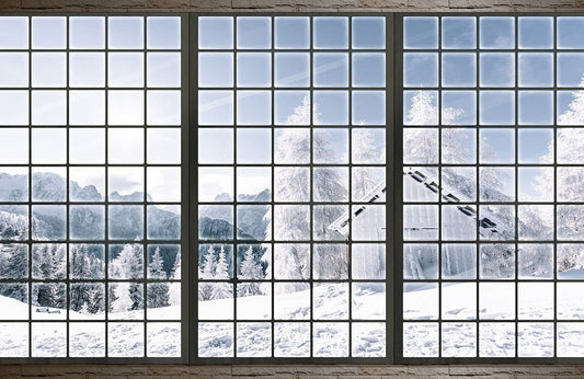 Window Snow View Wall Murals