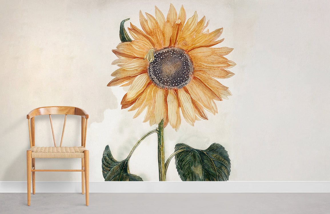 Sunflower Wall Murals