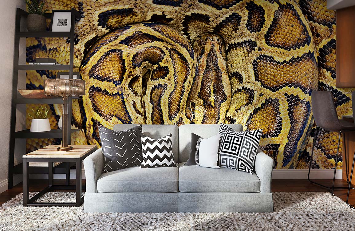 Python Round Wall Murals