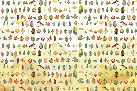 Various Leaves Collection Wall Murals