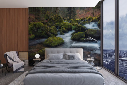 Forest Streams Wall Murals
