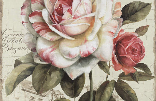 Classic Rose Wall Murals