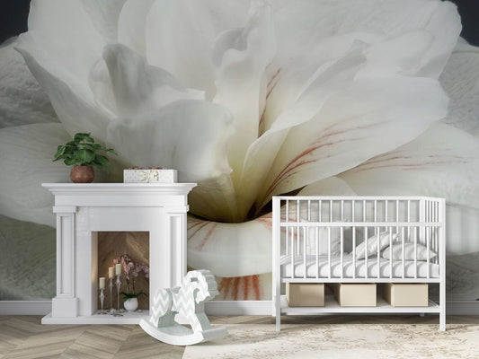 White Petals Wall Murals