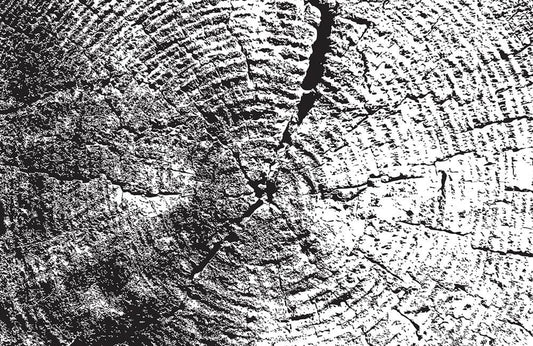 Cracked Wood Wall Murals