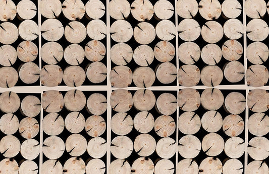 Wood Effect Wall Murals