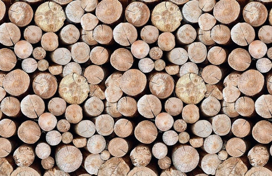 Wood Wall Murals