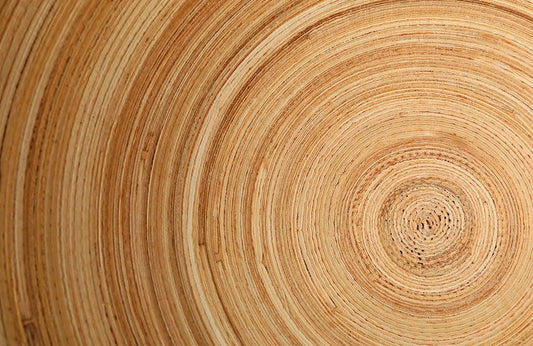 Wood Grain Wall Murals