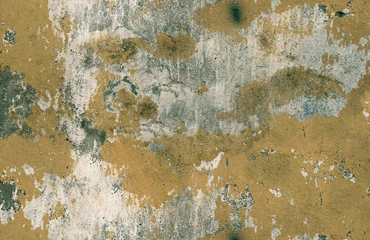 Moldy Concrete Wall Murals